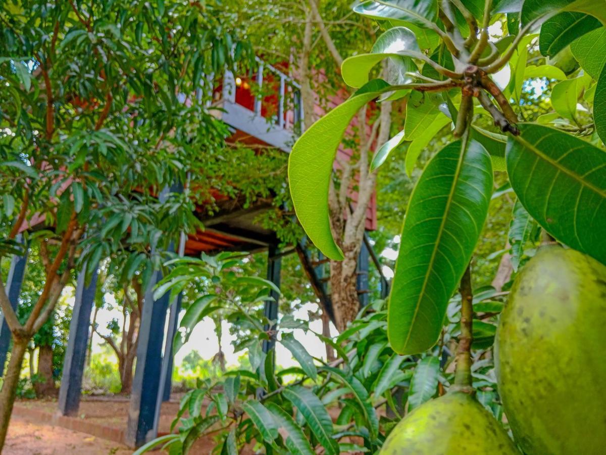 Ceylon Amigos Eco Resort Сігірія Екстер'єр фото