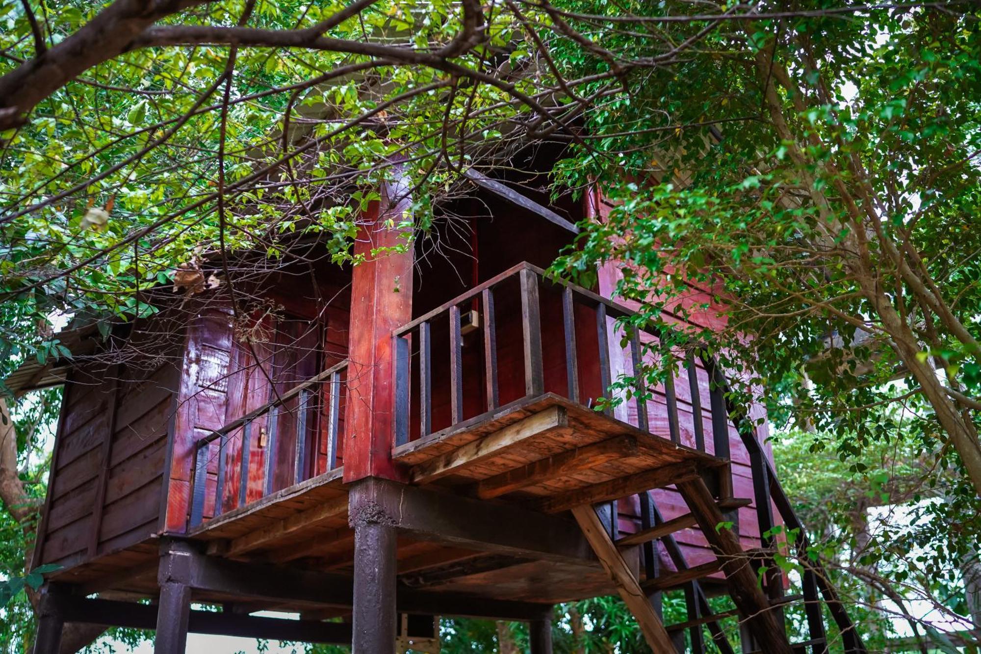 Ceylon Amigos Eco Resort Сігірія Екстер'єр фото