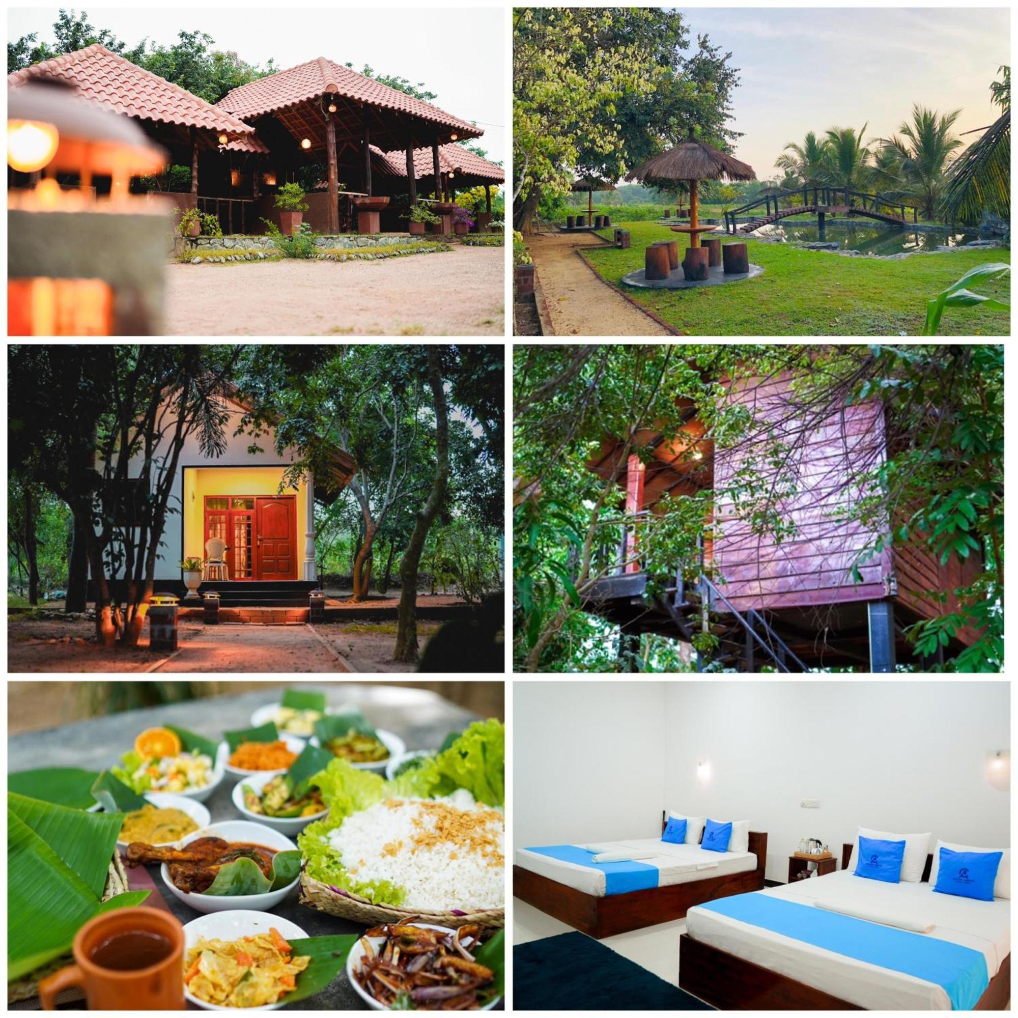 Ceylon Amigos Eco Resort Сігірія Екстер'єр фото